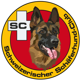Sponsor 1